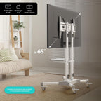 Mobile TV Stand on Wheels for 32" 65