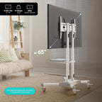 Mobile TV Stand on Wheels for 32-65 Inch