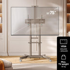 Mobile TV Stand on Wheels for 32”-75” Screen