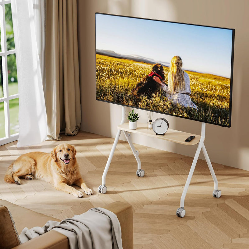 Mobile TV Stand on Wheels for 49–80 Inch