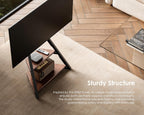Mobile TV Stand on Wheels with 2 Shelves