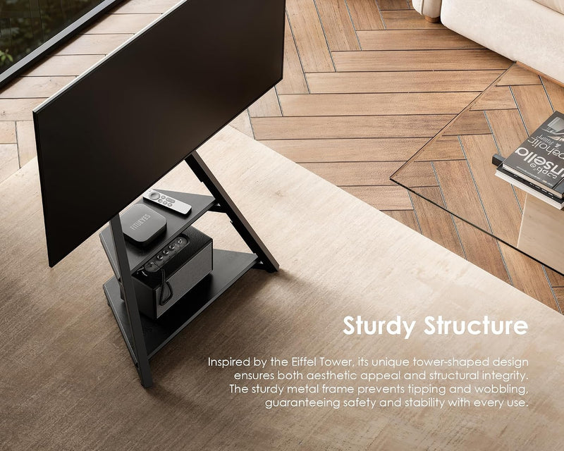 Mobile TV Stand on Wheels with 2 Shelves