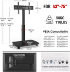 Mobile TV Stand on Wheels with Wooden Base
