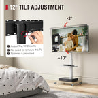 Mobile TV Stand on Wheels with Wooden Base