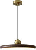 Modern 40CM Dimmable LED Pendant Light Fixture Vintage