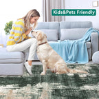 Modern Abstract Area Rug Living Room Extra Large