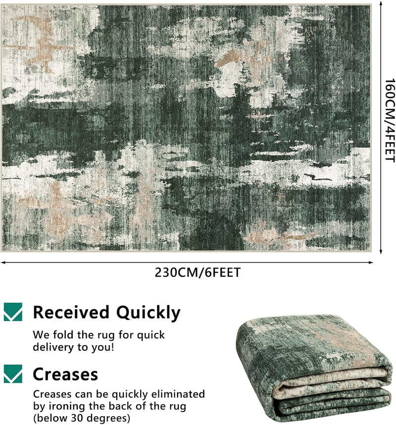 Modern Abstract Area Rug Living Room Extra Large