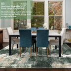 Modern Abstract Area Rug Living Room Extra Large