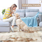 Modern Abstract Area Rug Living Room Extra Large