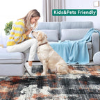 Modern Abstract Area Rug Living Room Extra Large