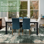 Modern Abstract Area Rug Living Room Extra Large