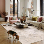 Modern Abstract Area Rug Living Room Extra Large