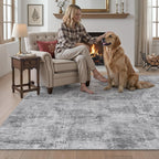 Modern Abstract Area Rugs for Living Room 244