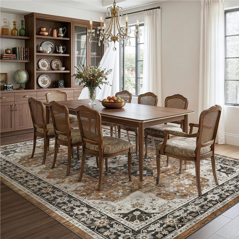 Modern Abstract Area Rugs for Living Room 244