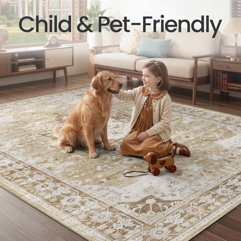 Modern Abstract Area Rugs for Living Room 244