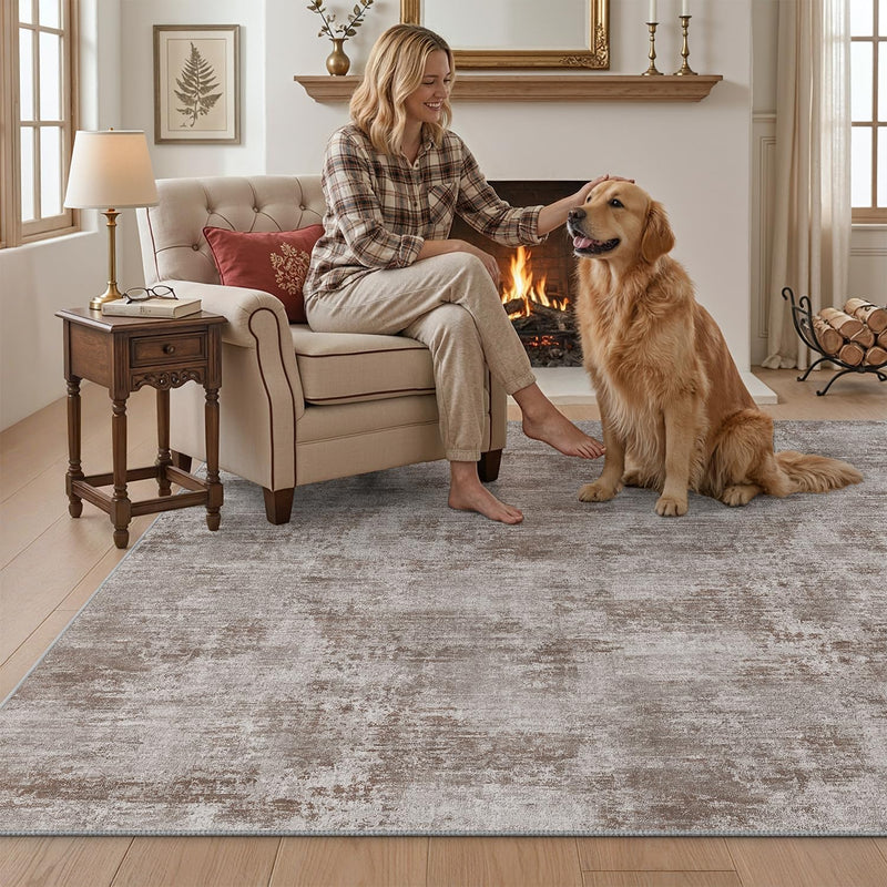 Modern Abstract Area Rugs for Living Room 244