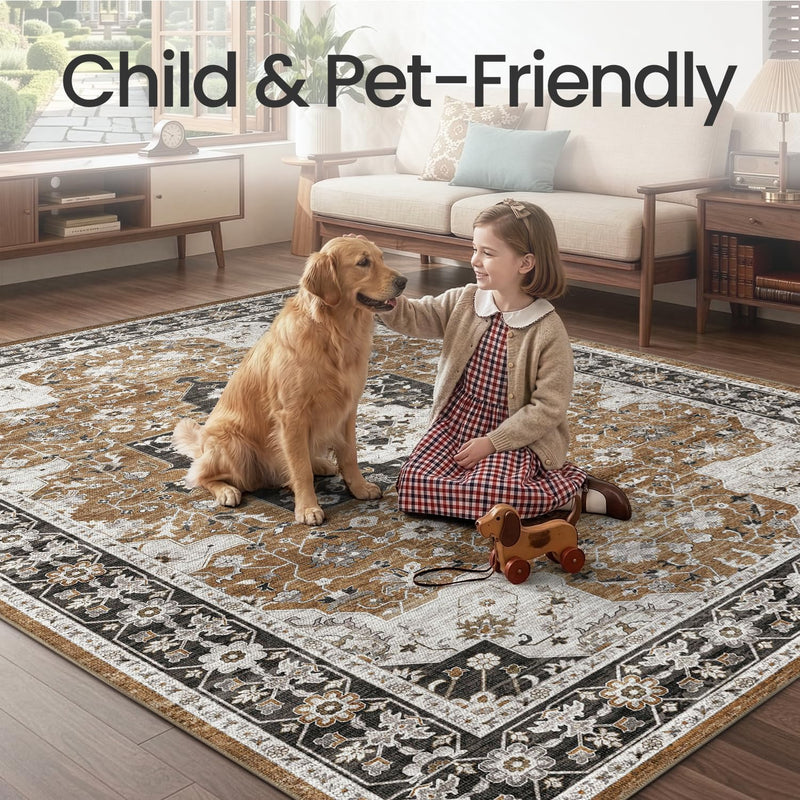 Modern Abstract Area Rugs for Living Room 244