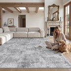 Modern Abstract Area Rugs for Living Room 244