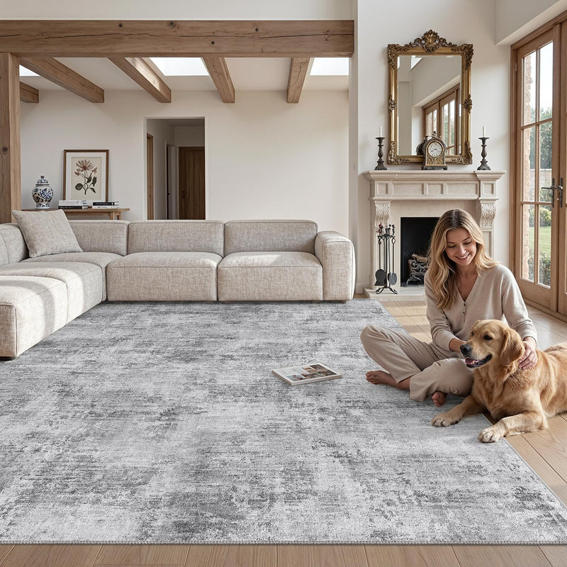 Modern Abstract Area Rugs for Living Room 244