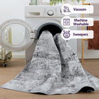 Modern Abstract Area Rugs for Living Room 244