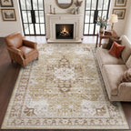 Modern Abstract Area Rugs for Living Room 244
