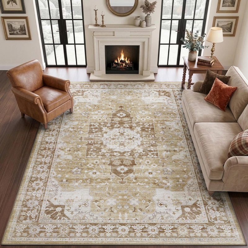 Modern Abstract Area Rugs for Living Room 244