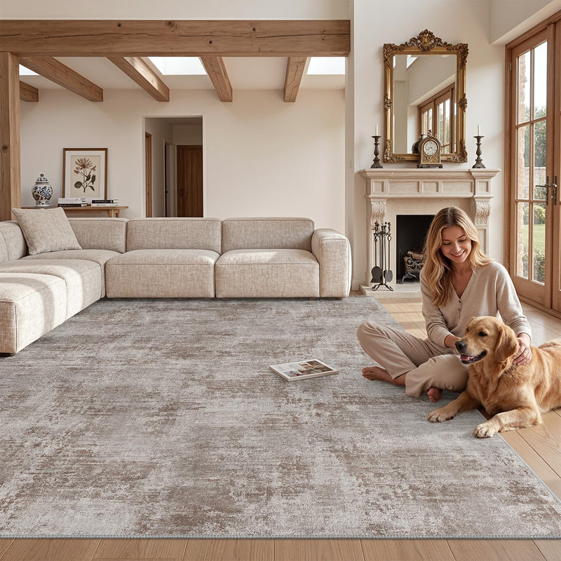 Modern Abstract Area Rugs for Living Room 244