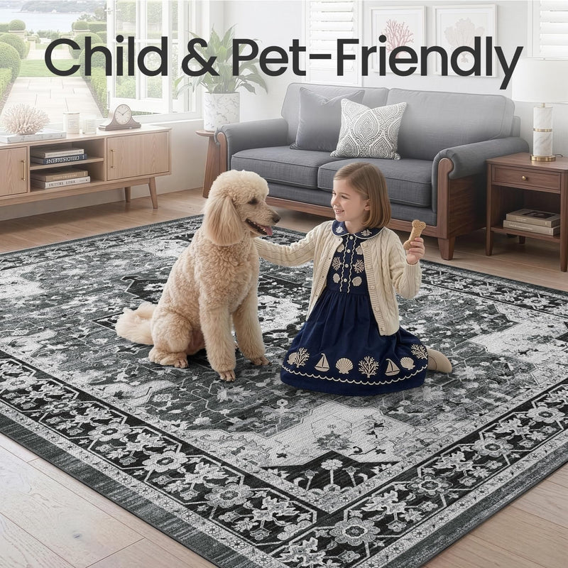 Modern Abstract Area Rugs for Living Room 244