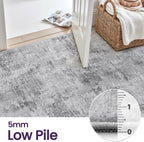 Modern Abstract Area Rugs for Living Room 244