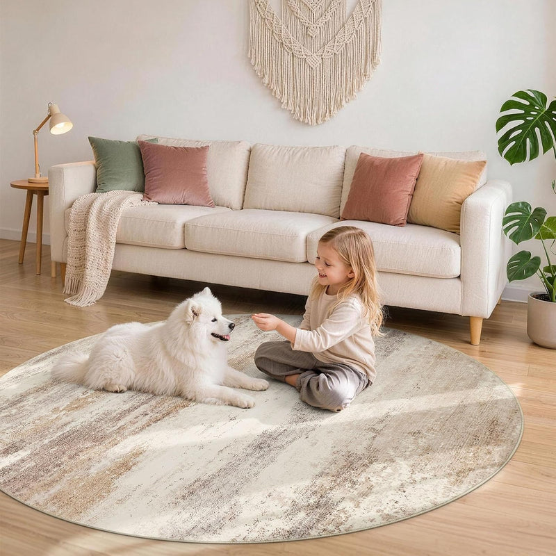 Modern Abstract Rugs Living Room