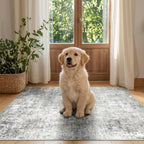 Modern Abstract Rugs Living Room Non-Slip