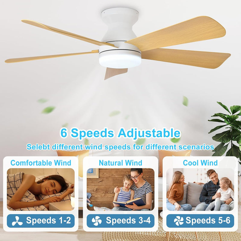 Modern Ceiling Fan with Light: 35-Inch Small Fans