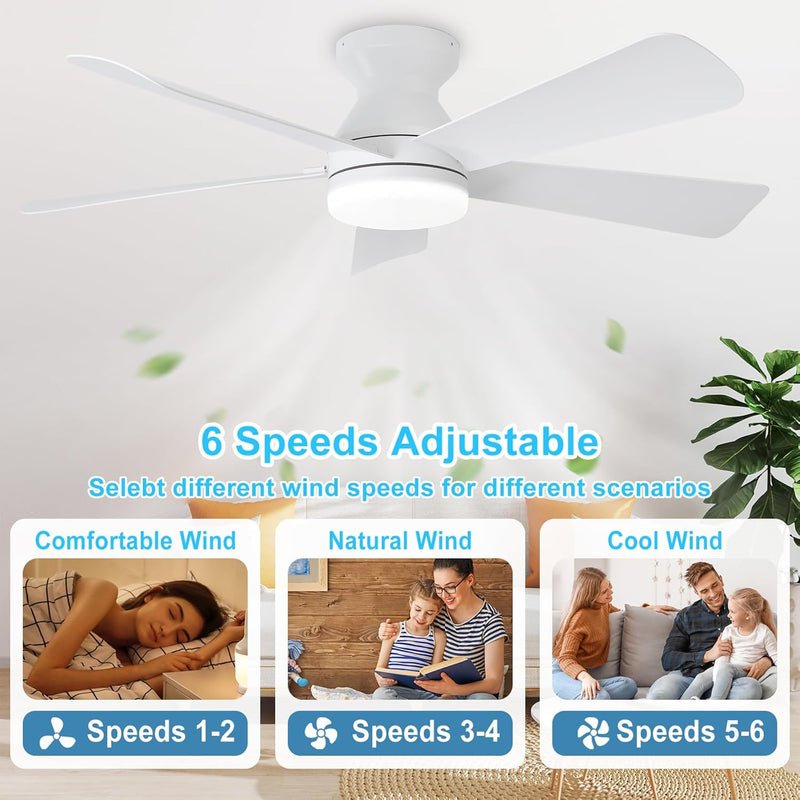 Modern Ceiling Fan with Light: 35-Inch Small Fans