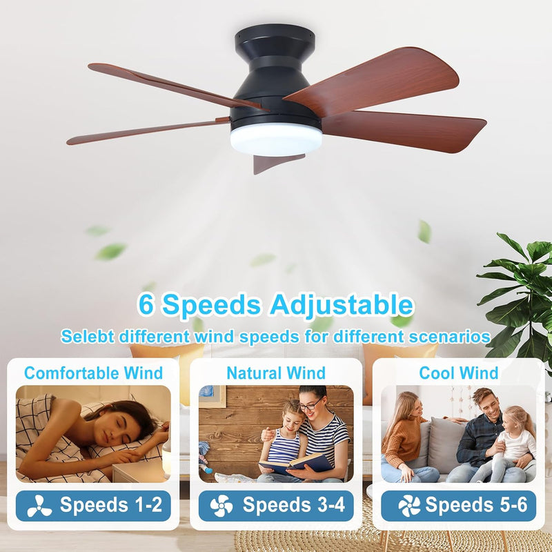 Modern Ceiling Fan with Light: 35-Inch Small Fans