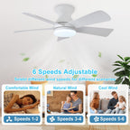 Modern Ceiling Fan with Light: 35-Inch Small Fans