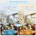 Modern Ceiling Fan with Light: 35-Inch Small Fans