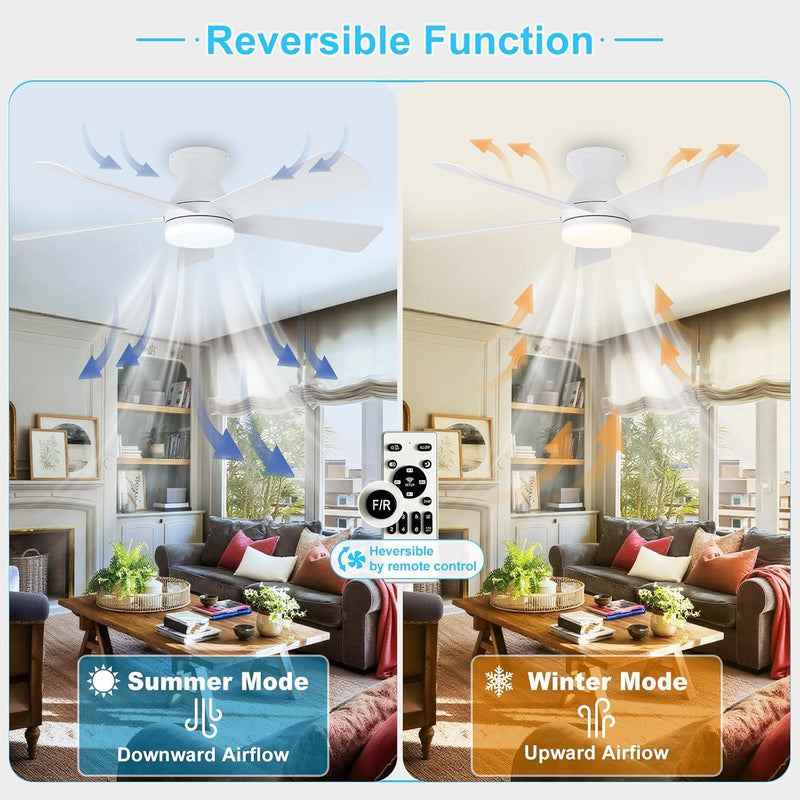 Modern Ceiling Fan with Light: 35-Inch Small Fans