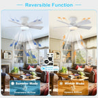 Modern Ceiling Fan with Light: 35-Inch Small Fans