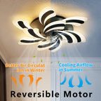 Modern Ceiling Fan with Light and Remote Control