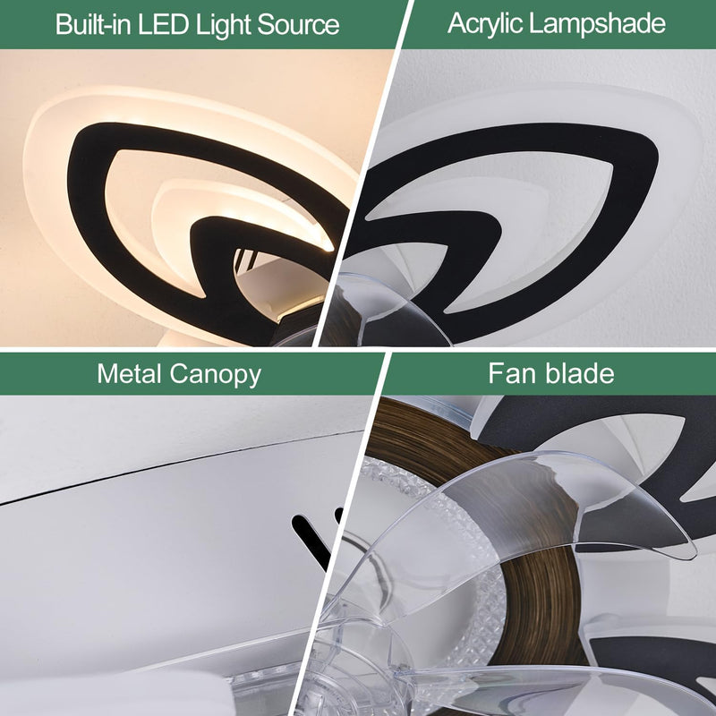 Modern Ceiling Fan with Light and Remote Control