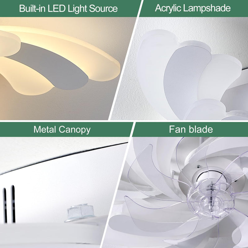 Modern Ceiling Fan with Light and Remote Control