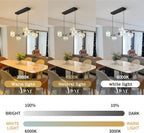 Modern Chandeliers Ceiling Light LED 7 Lights Dimmable