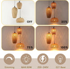 Modern Crystal Chandelier Ceiling Lights Pendant Light Shade