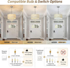 Modern Crystal Chandelier φ Pendant Light Contemporary