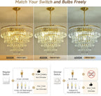 Modern Crystal Chandelier φ Pendant Light Contemporary