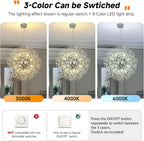 Modern Firework Chandeliers Dandelion Pendant Light Chrome 8