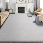 Modern Fluffy Large Rugs Living Room