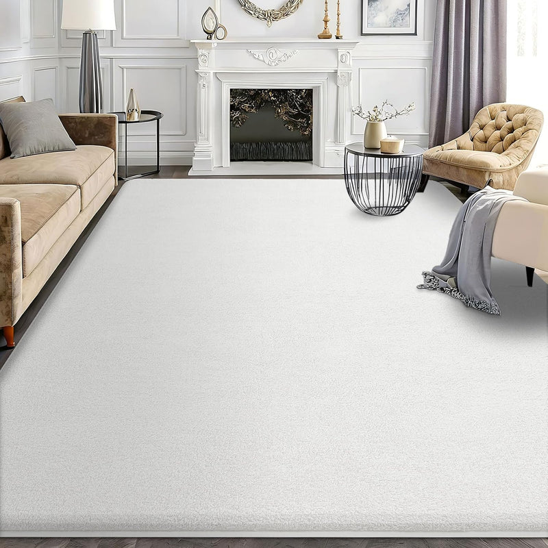 Modern Fluffy Large Rugs Living Room