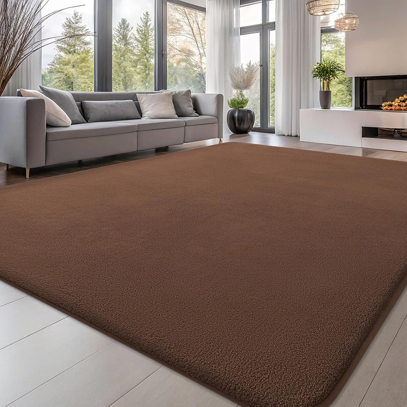 Modern Fluffy Large Rugs Living Room