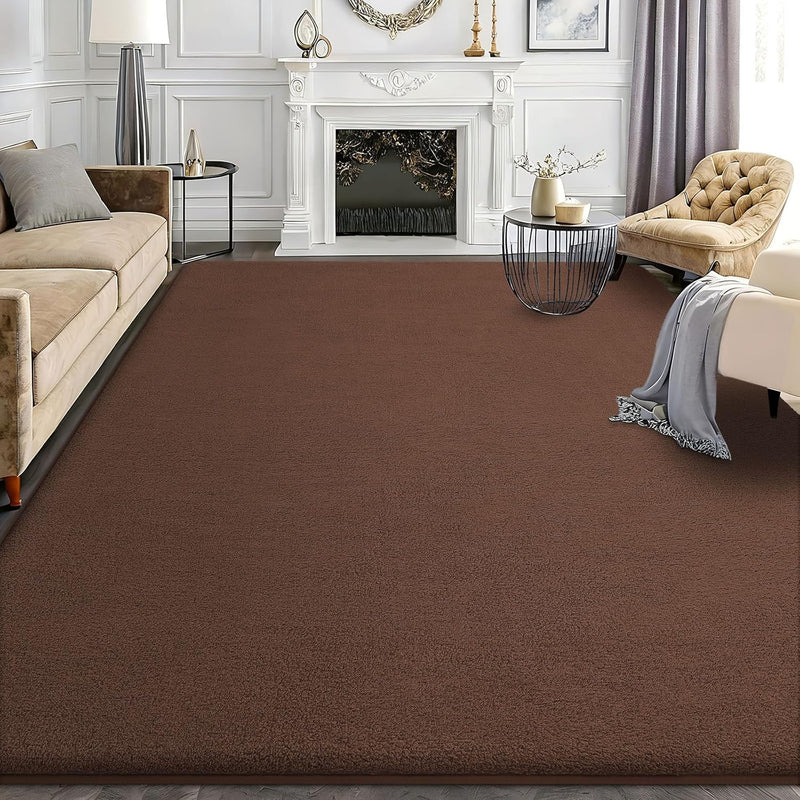 Modern Fluffy Large Rugs Living Room